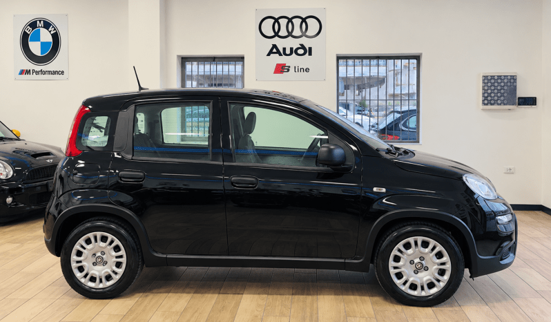 
								Fiat Panda 1.0 FireFly Hybrid full									