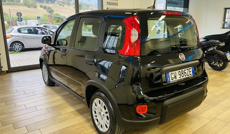 
								Fiat Panda 1.0 FireFly Hybrid full									