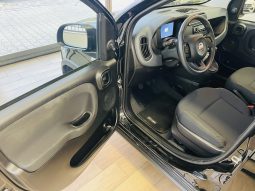 
										Fiat Panda 1.0 FireFly Hybrid full									