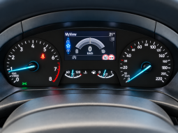 
										Ford Puma 1.0 EcoBoost Hybrid 125 CV ST-Line full									